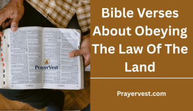 Bible Verses About Obeying The Law Of The Land