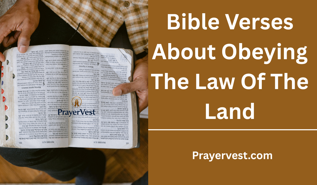 Bible Verses About Obeying The Law Of The Land