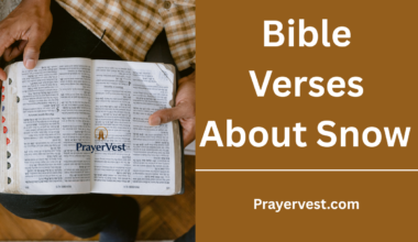 Bible Verses About Snow