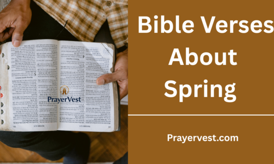 Bible Verses About Spring