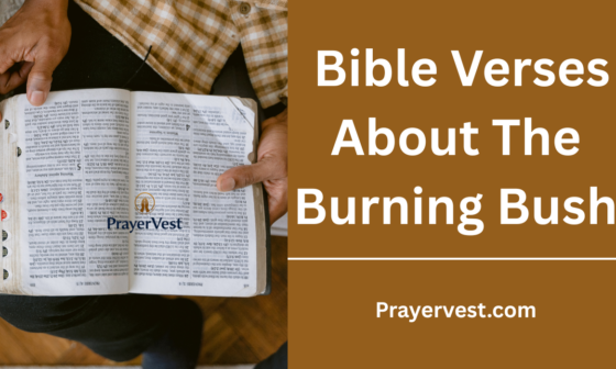 Bible Verses About The Burning Bush