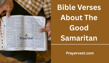 Bible Verses About The Good Samaritan