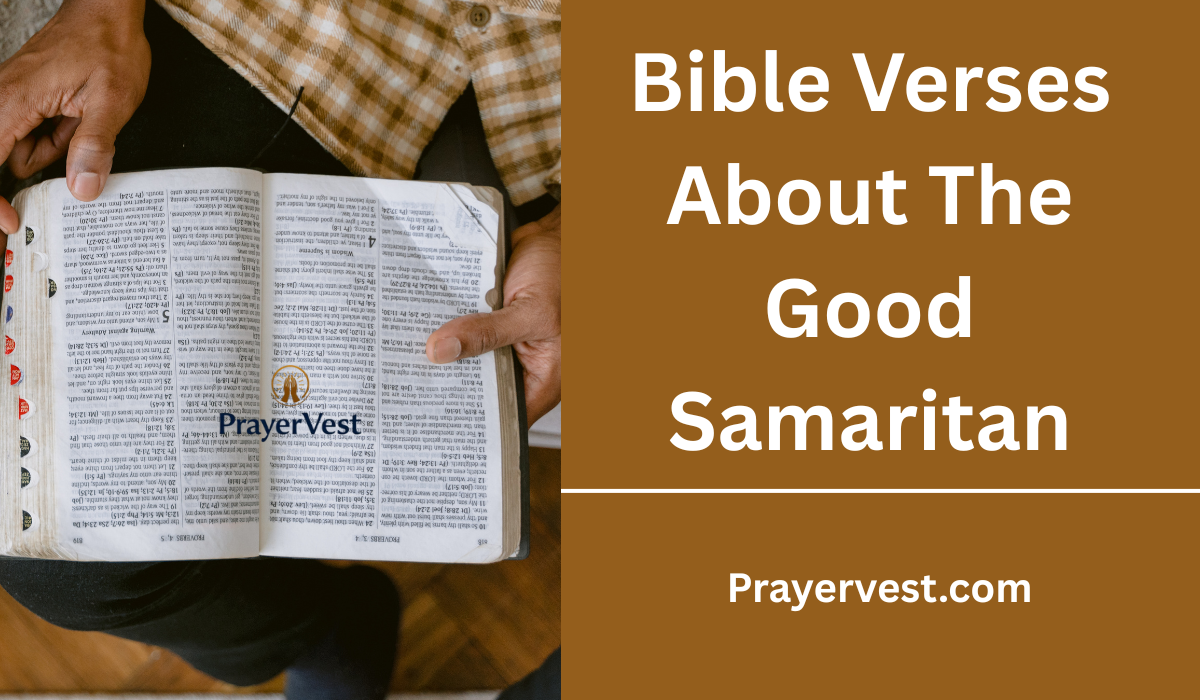 Bible Verses About The Good Samaritan