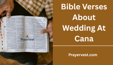 Bible Verses About Wedding At Cana