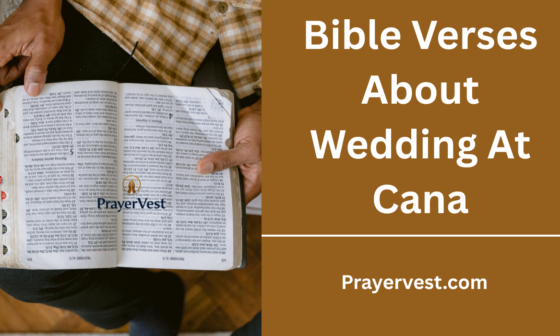 Bible Verses About Wedding At Cana