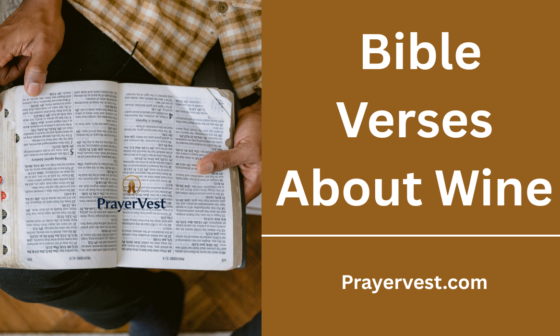 Bible Verses About Wine