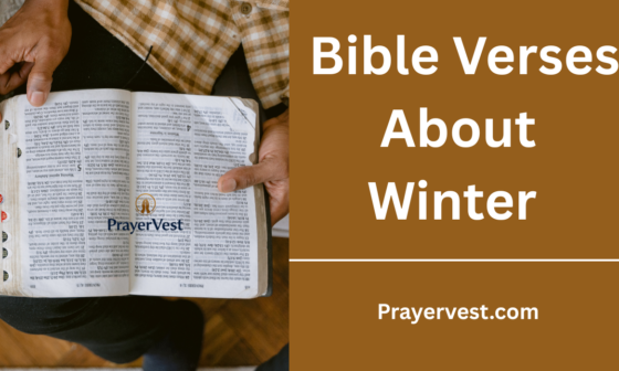 Bible Verses About Winter