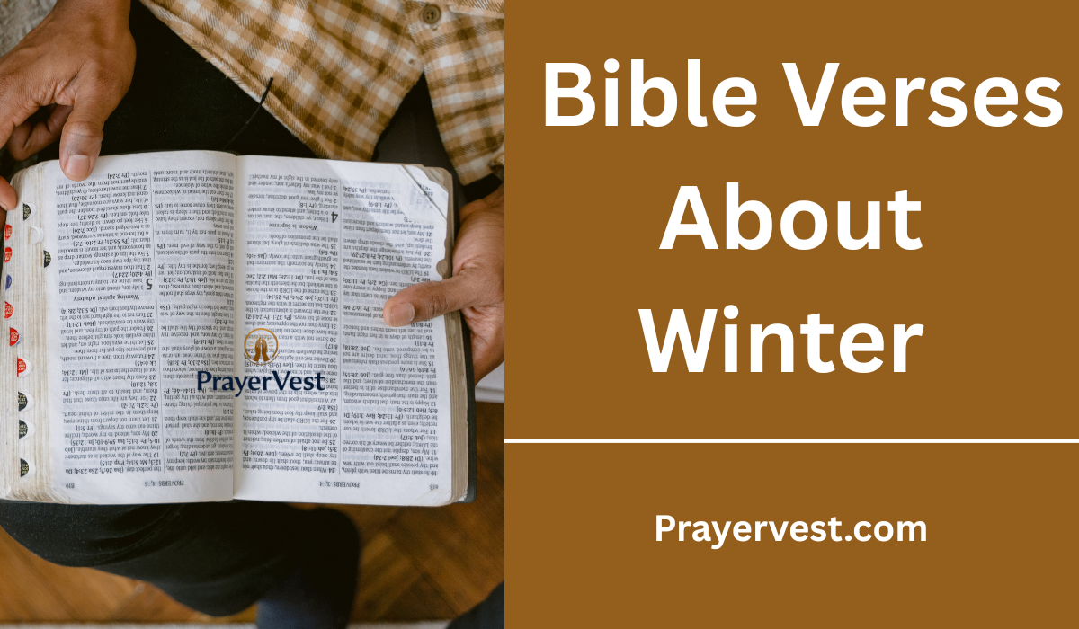 Bible Verses About Winter