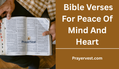 Bible Verses For Peace Of Mind And Heart