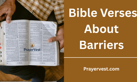 Bible Verses About Barriers