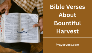 Bible Verses About Bountiful Harvest