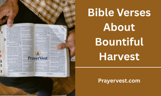 Bible Verses About Bountiful Harvest
