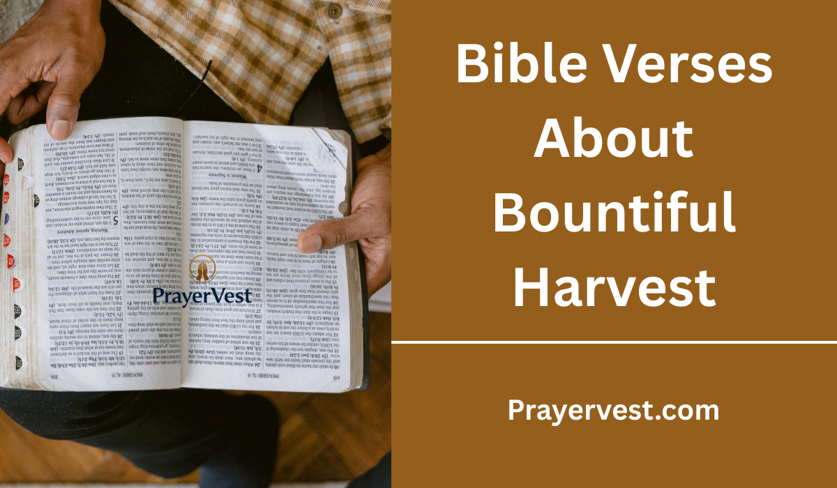 Bible Verses About Bountiful Harvest