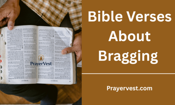 Bible Verses About Bragging