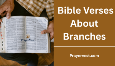 Bible Verses About Branches