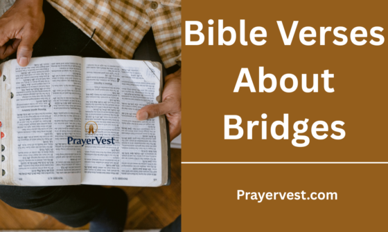 Bible Verses About Bridges