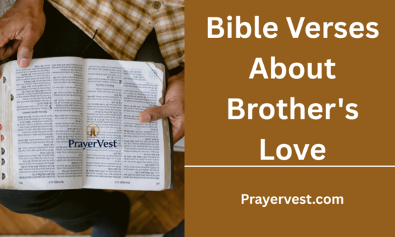 Bible Verses About Brother's Love