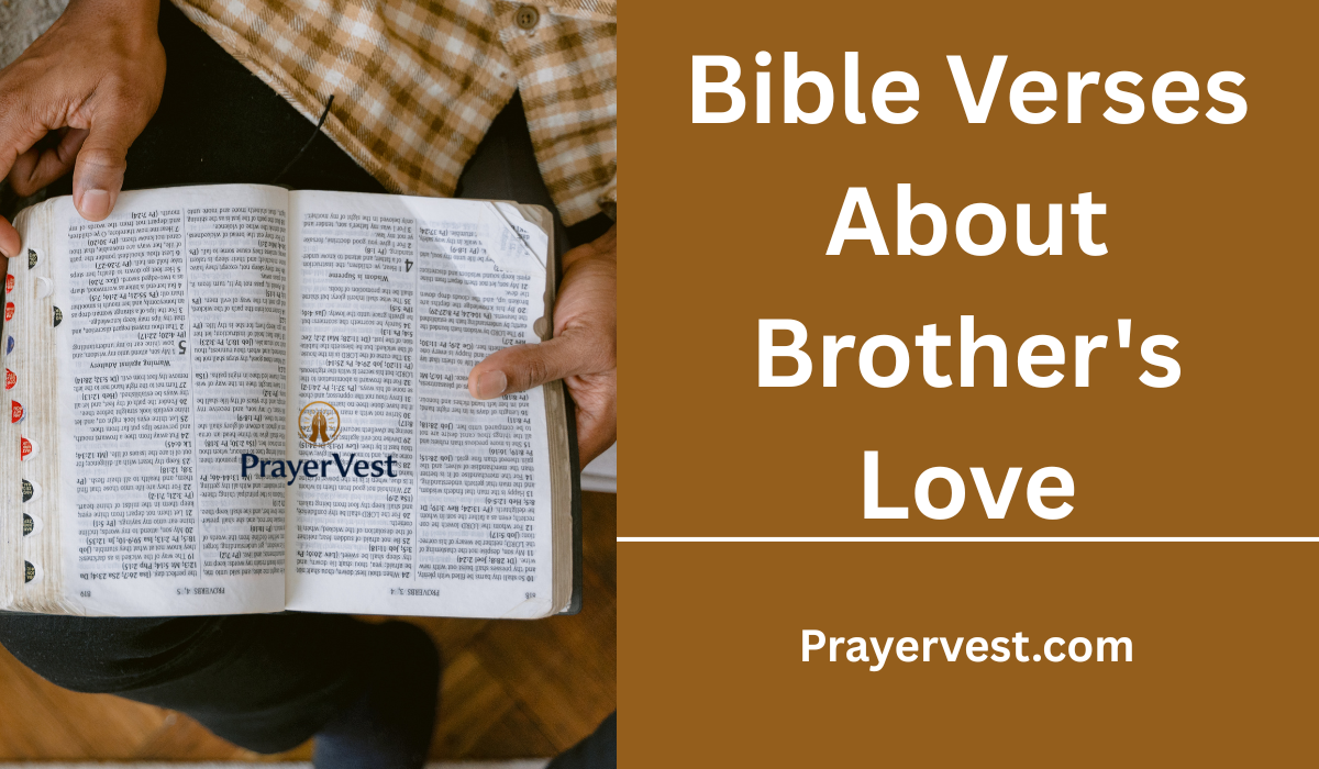 Bible Verses About Brother's Love