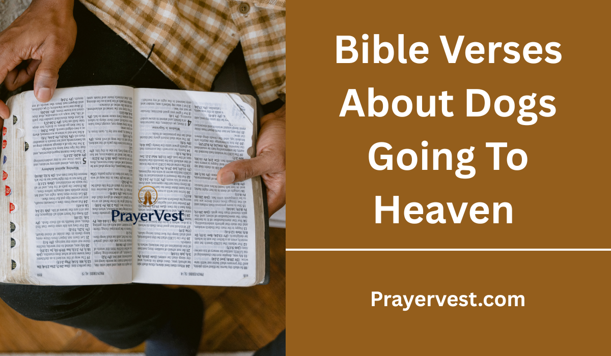 Bible Verses About Dogs Going To Heaven 