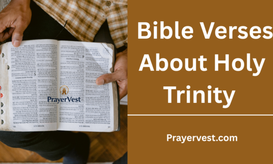 Bible Verses About Holy Trinity