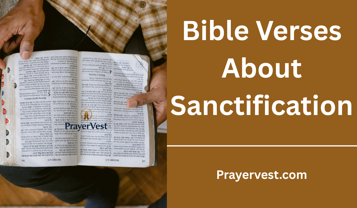Bible Verses About Sanctification