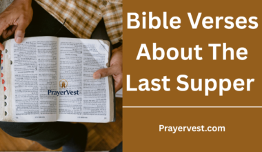 Bible Verses About The Last Supper