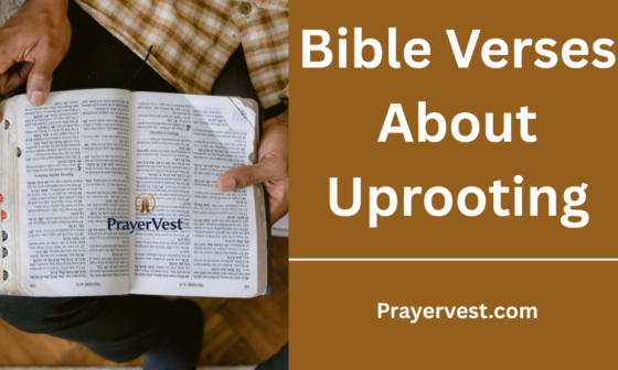 Bible Verses About Uprooting