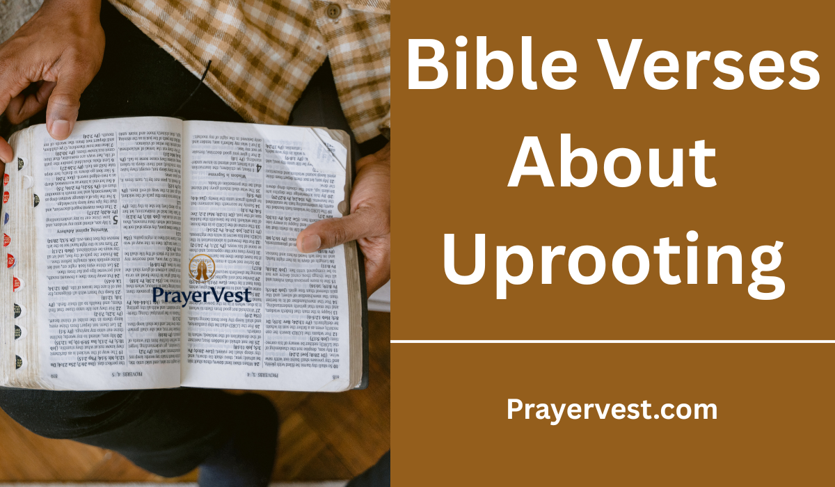 Bible Verses About Uprooting