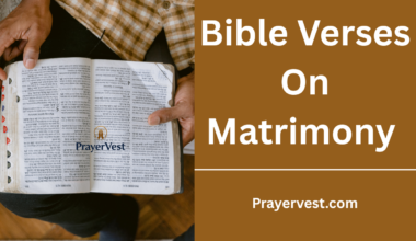 Bible Verses On Matrimony