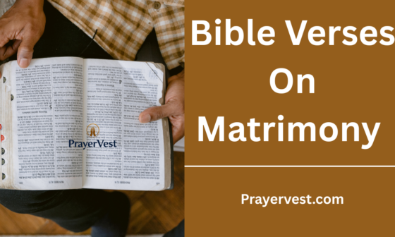 Bible Verses On Matrimony