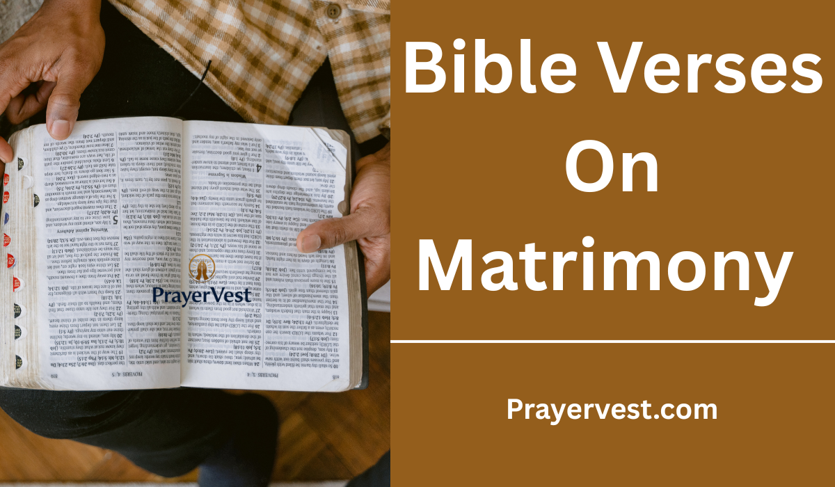 Bible Verses On Matrimony 
