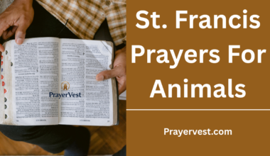St. Francis Prayers For Animals