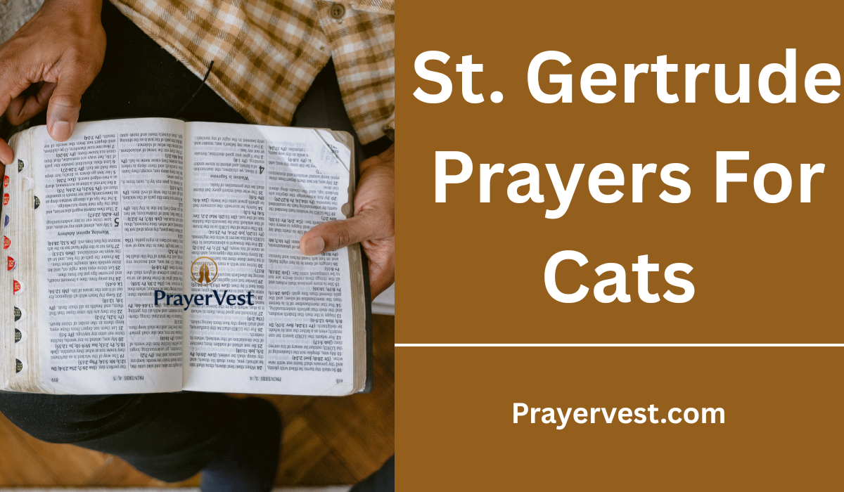 St. Gertrude Prayers For Cats