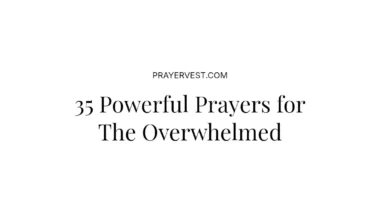 35 Powerful Prayers for The Overwhelmed