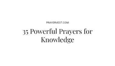 35 Powerful Prayers for Knowledge