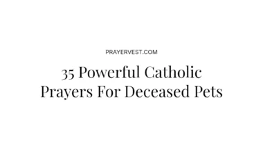 35 Powerful Catholic Prayers For Deceased Pets