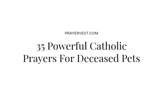 35 Powerful Catholic Prayers For Deceased Pets