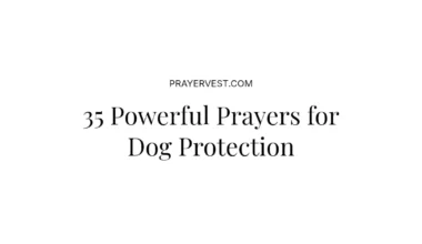 35 Powerful Prayers for Dog Protection