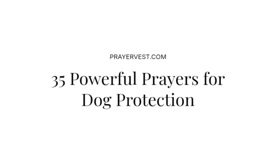35 Powerful Prayers for Dog Protection