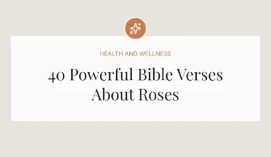 40 Powerful Bible Verses About Roses