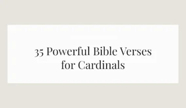 35 Powerful Bible Verses for Cardinals