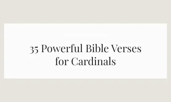 35 Powerful Bible Verses for Cardinals
