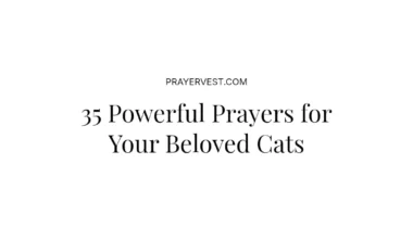 35 Powerful Prayers for Your Beloved Cats