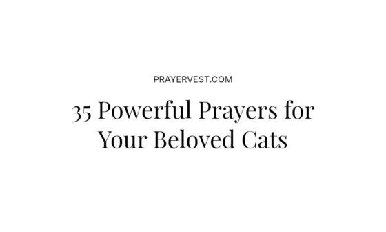 35 Powerful Prayers for Your Beloved Cats
